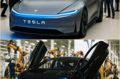 Tesla Modelo 2 de Elon Musk