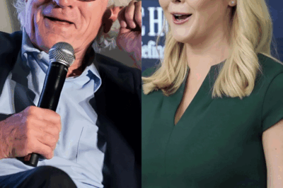 Karoline Leavitt Destroys Robert De Niro On Live TV.