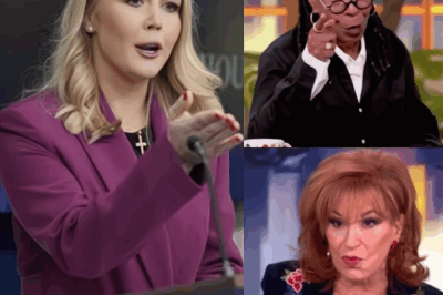 Karoline Leavitt CALLS for Nationwide BOYCOTT of “The View” LIVE…