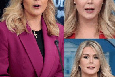 Karoline Leavitt Slams Reporters lies.