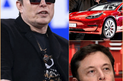 “Sobre meu cadáver!” A impactante promessa de Elon Musk de seguir sendo o CEO da Tesla para sempre