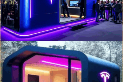 Elon Musk finalmente lançou uma pequena casa Tesla de US$ 7.566! Incrível por dentro!