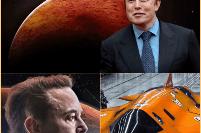 A missão de Elon Musk de levar humanos a MARTE deu outro grande passo adiante quando o multimilionário