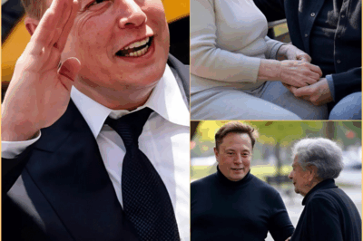 BUENAS NOTICIAS: Enquanto caminhava pela rua, Elon Musk se deparou com um antigo enfermo e indefeso.