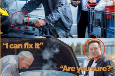 Um antigo pecado de casa ajuda Elon Musk