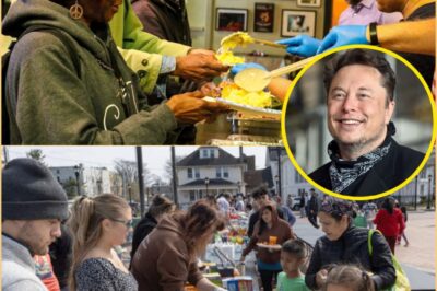 Elon Musk promete 300.000 dólares para fornecer comida a personas sin hogar…