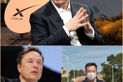 Elon Musk relatou 4 milhões de dólares para instalar proteção pública e melhorar a segurança em comunidades rurais