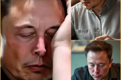 Última hora: Todos os Estados Unidos foram surpreendidos com a carta de 10 páginas de Elon Musk