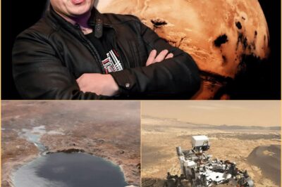 A visão de Elon Musk: criar água em Marte para a sobrevivência da humanidade