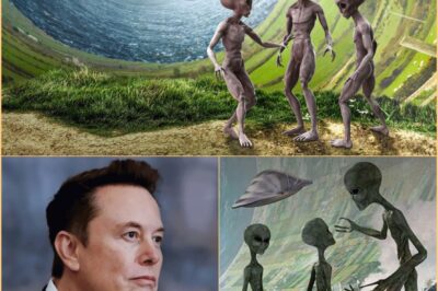 Na verdade, há extraterrestres dentro da Terra quando Elon Musk recentemente fez uma declaração local.