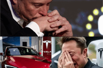 ÚLTIMAS NOTÍCIAS: O desastre DEVASTADOR de Elop Musk deixa funcionários da SpaceX em lágrimas! “Eu imploro…”