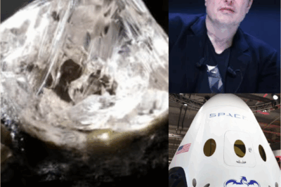 Missão ultra secreta de Elon Musk teria trazido 40 toneladas de diamantes e ouro de Marte para a Terra e fontes afirmam que a operação foi escondida até mesmo da NASA para evitar um colapso econômico global.