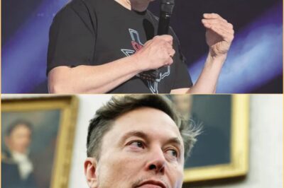 Elon Musk afirma ter tido um filho secreto com uma estrela do pop japonesa