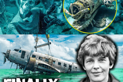 Amelia Earhart’s plane suddenly reappeared after 87 years of being missing! The final mystery has been revealed…