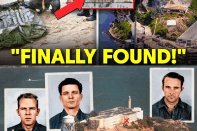 After More Than Half a Century, the Truth About Alcatraz Leaves Everyone Astonished.