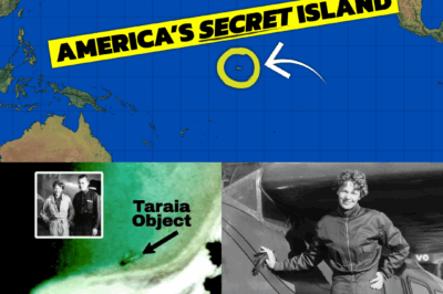 Shock! Extremely strong evidence suggests Amelia Earhart’s plane has been found beneath a mysterious lagoon.