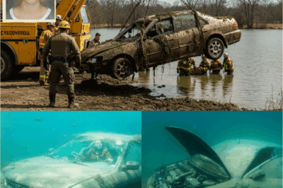 The Icy Waters Reveal a Secret No One Expected After Two Decades of Darkness