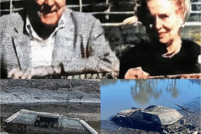Shocking the entire United States: The New York couple missing for 44 years was found in a pond and the truth has stunned the police.