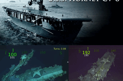 Drone Dives 17,000 Ft and Reveals the Secrets of USS Hornet CV-8, Shocking the Whole World.