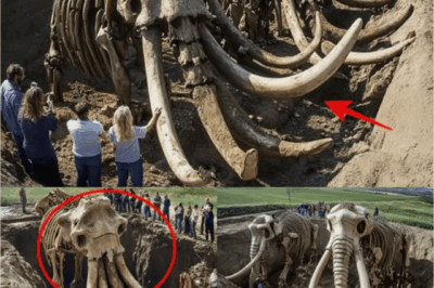 The Discovery of the Chelsea Mammoth in Michigan Leaves Scientists Stunned