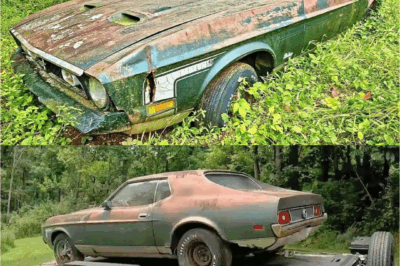 Spent 600 dollars on a junk car, never expected to find something that would change his life.