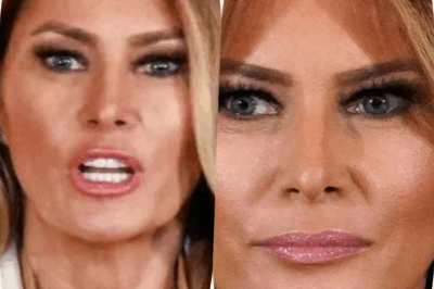 Melania Trump starred in weird ‘sex appeal’ advert swapping brains with a duck