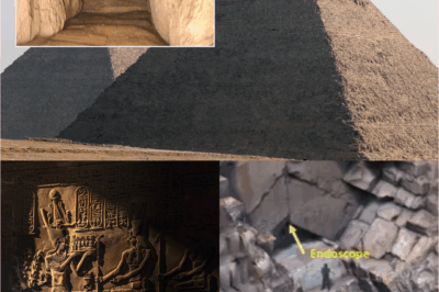 UNBELIEVABLE: The Hidden Door Inside the Great Pyramid Was Opened, The Terrifying Secrets Inside Leave the World SHOCKED