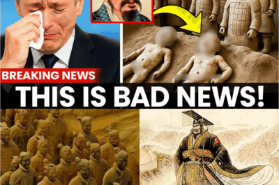 Shocking! The horrifying truth about the Terracotta Army was just revealed in 2025, leaving everyone trembling because no one expected it to be this terrifying