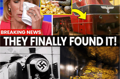 The Horrifying Truth About the Nazi Gold Train With Details That History Books Dare Not Write.