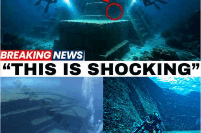 Shocking Discovery: Enormous Structures Beneath the Ocean Challenge All Human Knowledge