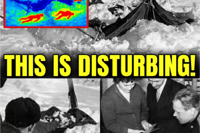 The Horrifying Truth About Dyatlov Pass Finally Uncovered by AI.