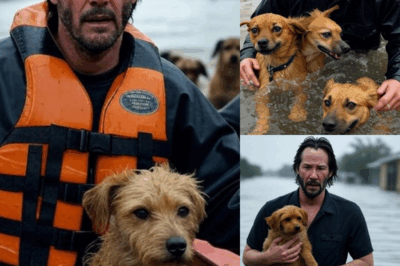 America is stunned as Keanu Reeves fearlessly wades toward raging Texas floodwaters to save homeless dogs swept away by the current, a moment that broke hearts nationwide.