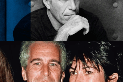 Behind Epstein’s Dark Walls: The Hidden Secrets and the Lives That Were Stolen