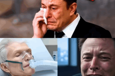 Shockwaves hit SpaceX as a sudden, devastating announcement leaves employees and Elon Musk fans heartbroken worldwide.