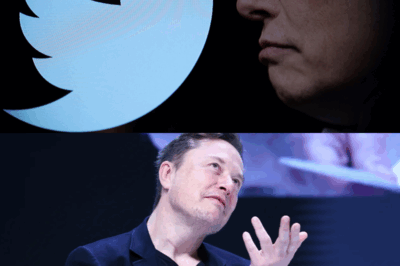 Inside Elon Musk’s secretive $128 million settlement — and the underground battle tearing X from within .