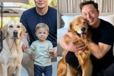 Fans Stunned as Elon Musk Shares a Heartfelt Moment With Son Lil X and a Dog, Highlighting What Truly Matters .