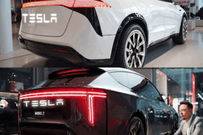 The 2026 Tesla Model 2 is officially here, and Elon Musk’s hidden $25,000 EV surprise is leaving fans speechless.