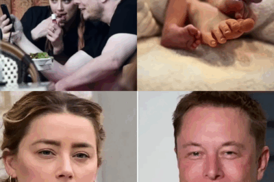 Amber Heard Sparks Frenzy After Reconnecting With Elon Musk and Shocking Twin Speculation .
