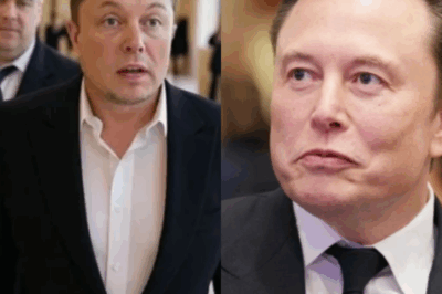 Elon Musk Gets Thrown Out of a Luxury Hotel… So He Buys the Whole Building
