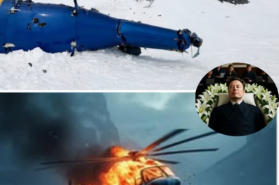 50 minutes ago — Rescue helicopter carrying Elon Musk after snow mountain crash: Rescuers confirm all passengers died, scene devastated by snowstorm .
