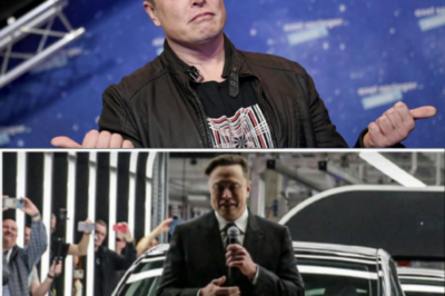 Reinforcing Vision to Dominate the Self-Driving Era