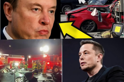 Elon Musk is pouring all of Tesla’s ambitions into robotics and automation systems, promising to usher in a new era for the company. Yet behind this enormous potential lie financial risks that could put Tesla in jeopardy.