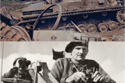 Why Did The Americans Hate Bernard Montgomery So Much…