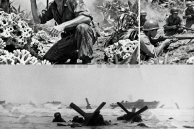 The Forbidden Weapon: How a Private Defied Orders, Used the “Wrong” Grenades, and Became a Legend in the Pacific