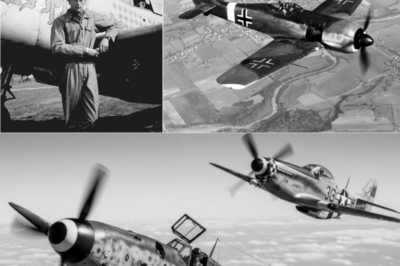 A German Pilot Ran Out of Fuel Over Enemy Territory… When a P-51 Suddenly Pulled Up Beside Him
