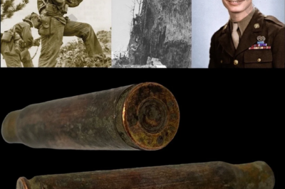 The Junkyard Miracle: How a Desperate WWII Pilot Built His Own Bomb and Turned a Deadly Night Battle Around, The Improvised Device That Defied Science and Saved His Squadron, Leaving Enemy Pilots Stunned. Discover the Extraordinary Tale of the Backyard Weapon That Rewrote Aviation History!