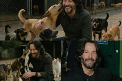 While many celebrities make headline-grabbing donations, Keanu Reeves has reportedly chosen a quieter, more hands-on kind of compassion. …..