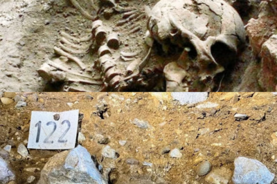 A tooth found in a flooded cave in Mexico has just shattered decades of theories: the DNA that rewrote the true origin of the first Americans