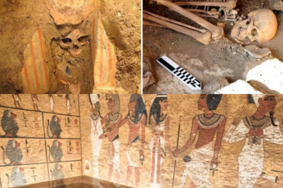 The DNA that should never have existed: the genetic analysis that destroyed Cleopatra’s last mirror and revealed a dynasty trapped in a silent biological time bomb🧬