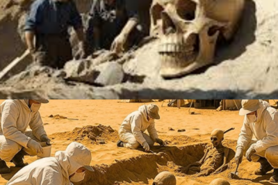 🌍 “Scientists’ Terrifying New Discovery in Africa That Changes Everything — What They Found Will Haunt You!” A new discovery in Africa has stunned scientists, revealing something so terrifying it challenges everything we thought we knew about the continent’s hidden secrets. Buried beneath the Earth, they uncovered ancient artifacts, unknown species, and eerie signs of a civilization that predates everything. The implications of this find will send shockwaves through the scientific community, and the truth behind it is darker than we ever imagined
